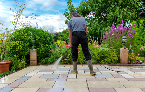 Best Driveway Pressure Washing  in Eden, TX