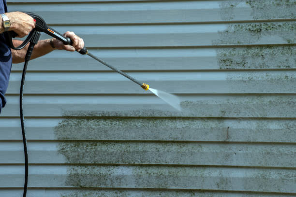 Best Solar Panel Cleaning  in Eden, TX